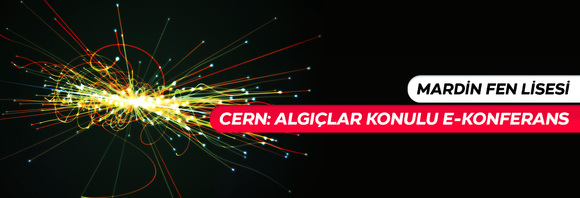CERN: Algıçlar Konulu E-Konferansa Katıldık