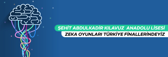 Türkiye Okullar Arası Zeka Oyunları Şampiyonasında Bölge Birinciliği