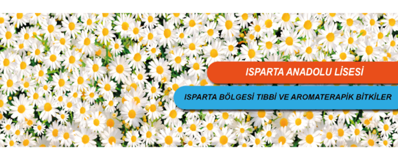 Isparta Anadolu Lisesi "Isparta Bölgesi Tıbbi ve Aromaterapik Bitkiler" Çalışması