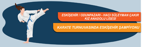 Okullar Arası Karate Turnuvasında Eskişehir Şampiyonluğu