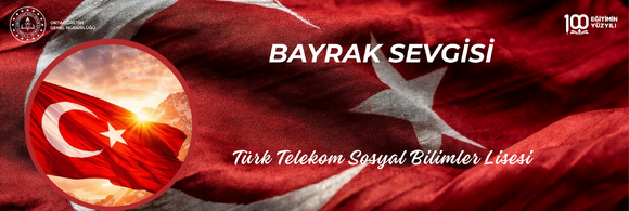 BAYRAK SEVGİSİ