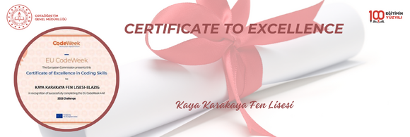 CERTIFICATE TO EXCELLENCE ÖDÜLÜ